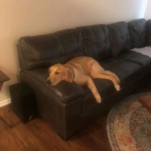 Meet your Posher, Matt